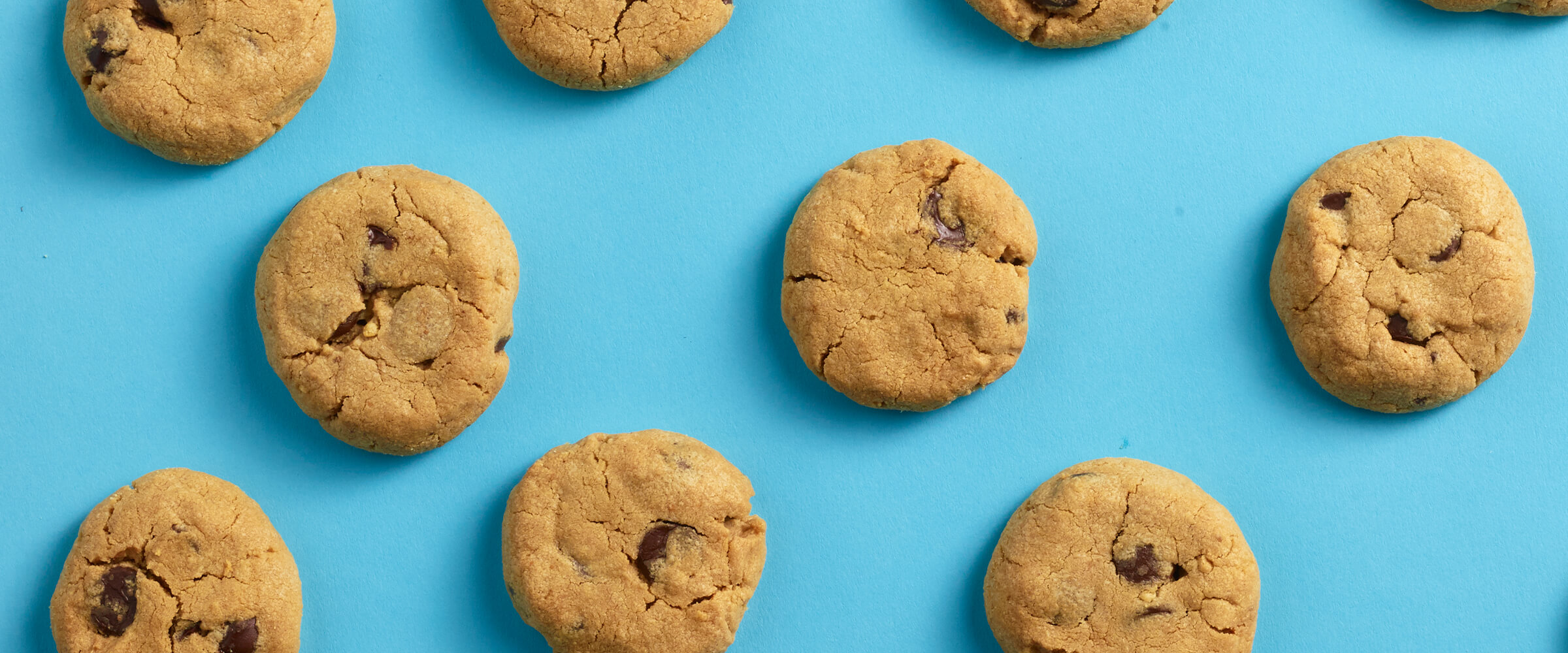10 peanut butter chocolate chip graham cookies sitting on a teal background.